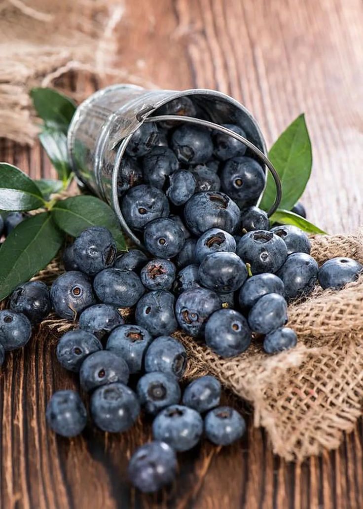 Blueberry